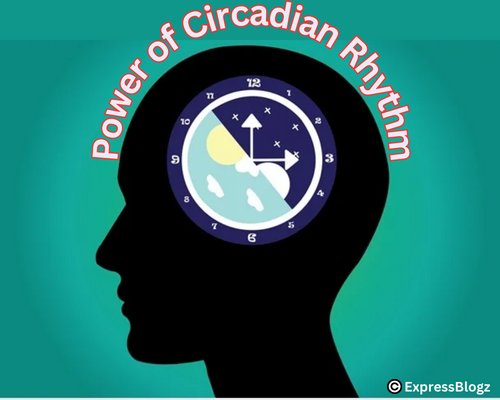 Circadian Rhythm